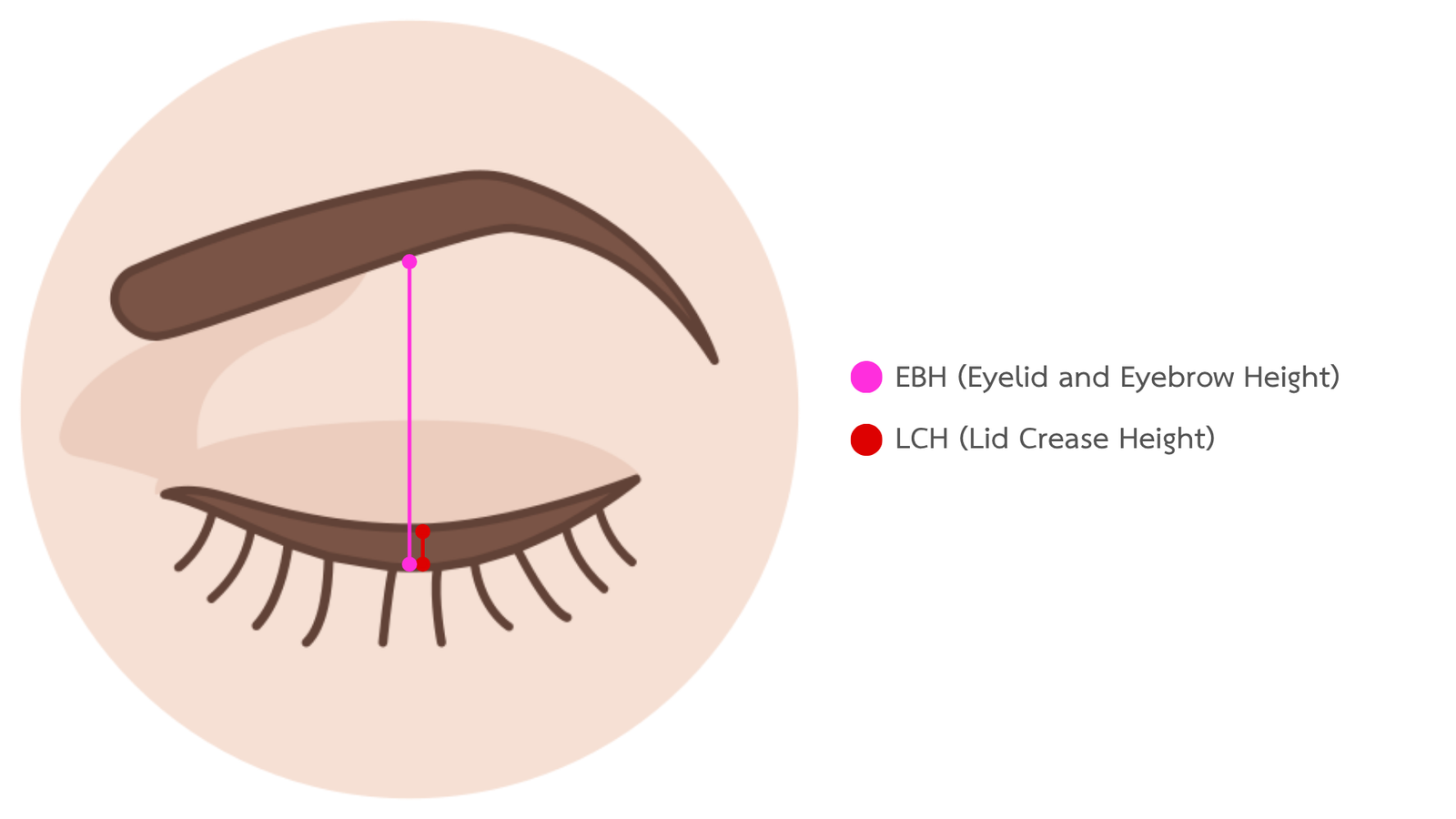 Eye Point Information 2